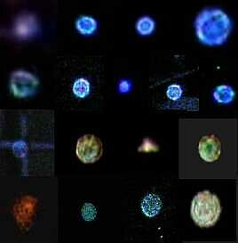 Orb Pictures: Gallery!