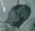 Photographs of Ghosts