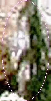 enhanced ghost picture