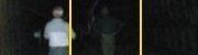 Sach's Bridge Ghost Picture