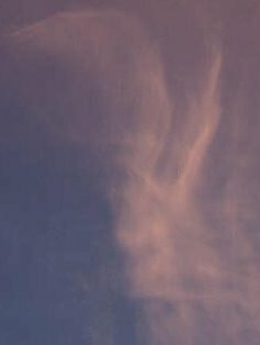 Sky Angels