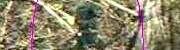 Soldier Ghost Picture!