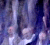 Spirit Beings Angel Pictures