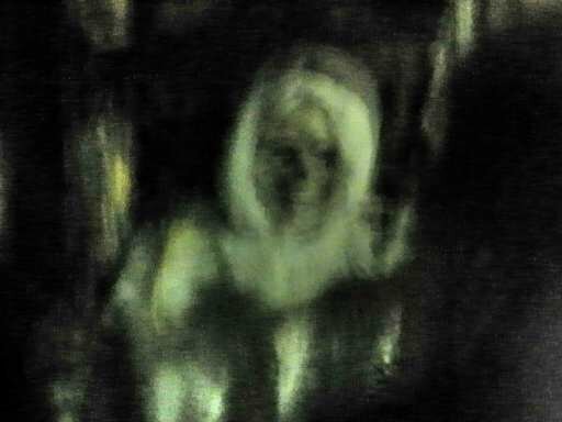 Spirited Grove Ghost Picture!