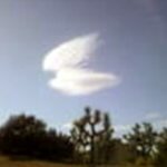 Spiritual Pictures: Wings