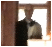Stanley Hotel Bellhop Ghost?