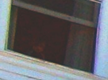 Stanley Hotel Ghost Picture Normal