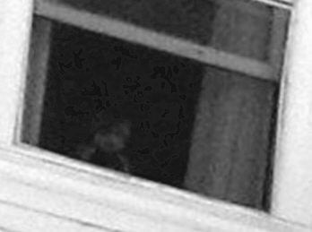 Stanley Hotel Ghost Picture