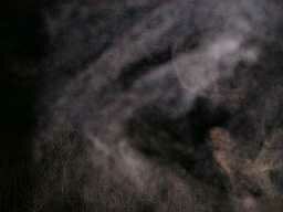 Theorosa's Bridge ectoplasm mist