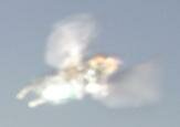 angel picture