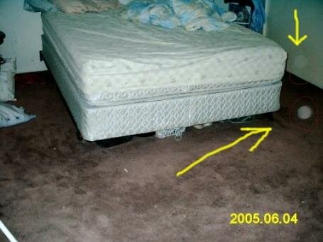 psychic orbs