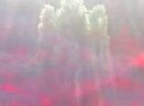  angel picture