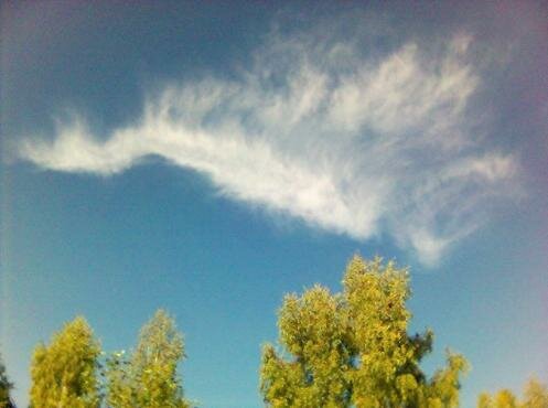 angel picture