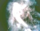 psychic reading angel