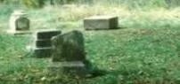 bachelor's grove cemetery ghost picture