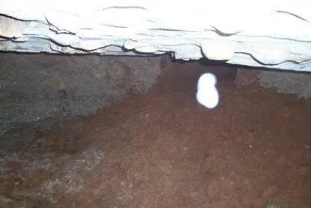 Bell Witch Cave