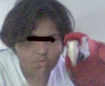 bird spirit