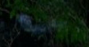 ectoplasm blue figure