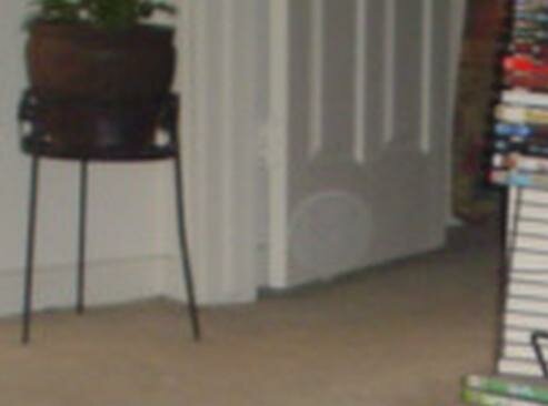 cat ghost picture