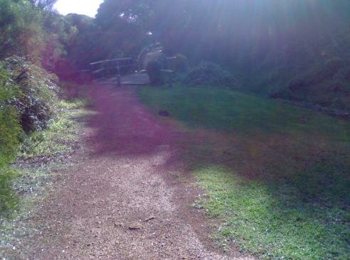 boy on trail ghost picture