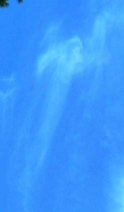 seraphim angel