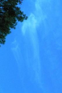 cloud angel pictures