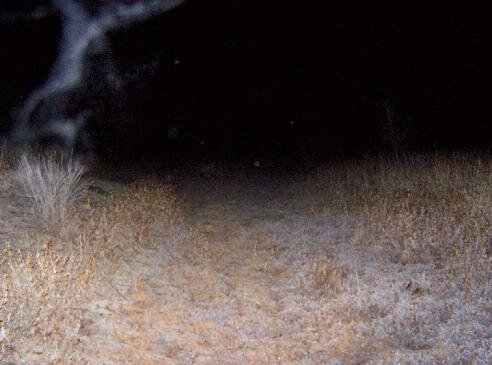 Tillie Creek campground ectoplasm ghost picture