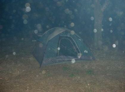 orb picture psychic reading