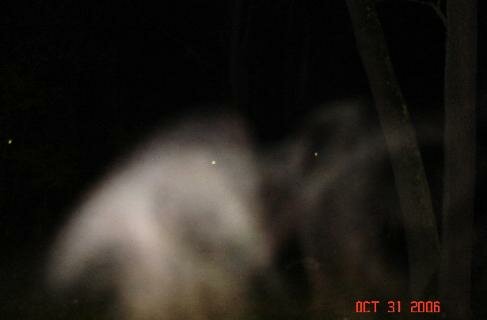 canal fulton ghost walk mist