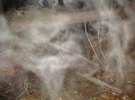 cedar grove ghost pictures
