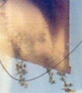 ghost pictures photographs photos pics