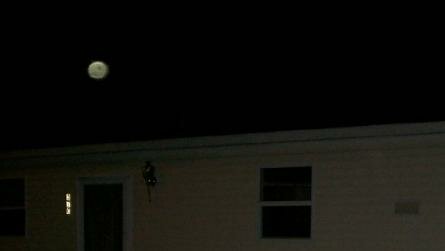 orbs