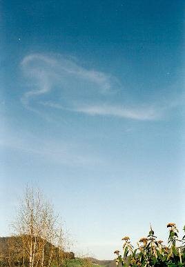cloud angels