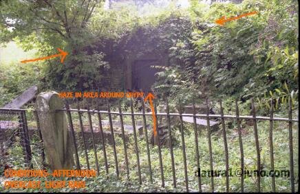 crypt ghost pictures