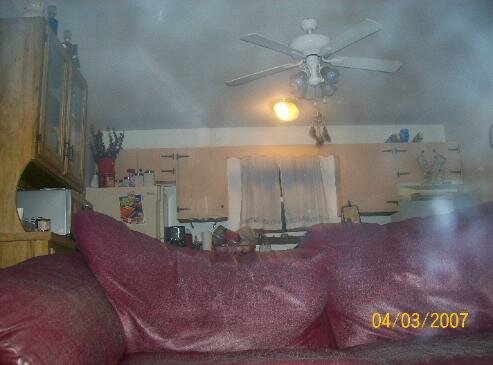 darla's ghost photo