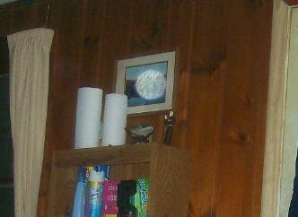 dog orb ghost picture