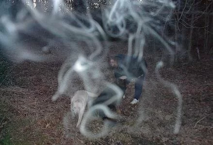 dog ghost picture