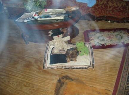 ectoplasm photography