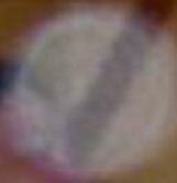 face in orb