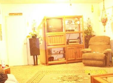 fake apparition ghost picture
