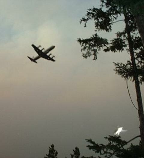 fire bomber angel picture