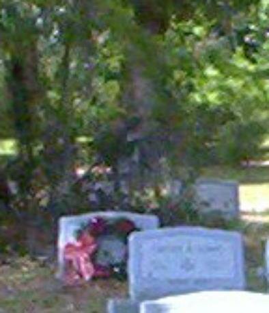 florida apparition ghost picture