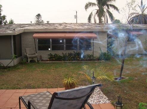 florida ectoplasm