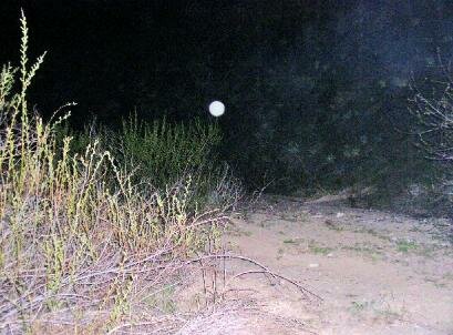 foggy ghost picture