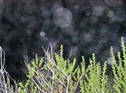 foggy ghosts