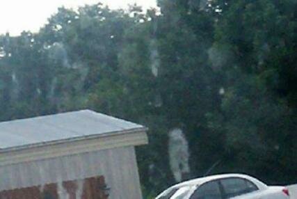 ghost dog