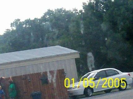 ghost dog