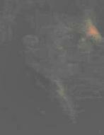 ghost picture of the month