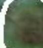 ghostly face