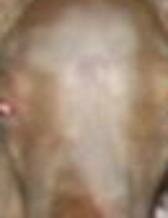grandpa's spirit close-up